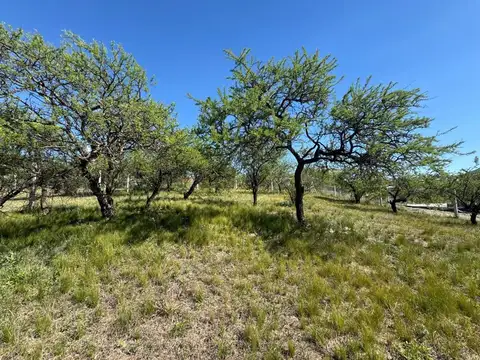 VENTA TERRENO 1264 mts2 LA ARBOLADA MALAGUEÑO