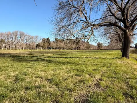 Terreno Lote  en Venta en El Remanso, Exaltación de la Cruz, G.B.A. Zona Norte