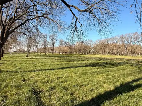 Ruta 8  km 75- El Remanso 100