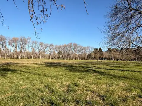 Ruta 8  km 75- El Remanso 100