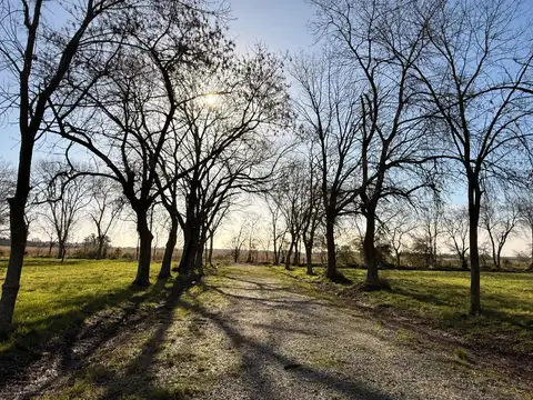 Terreno en Venta de 784,0 m2
