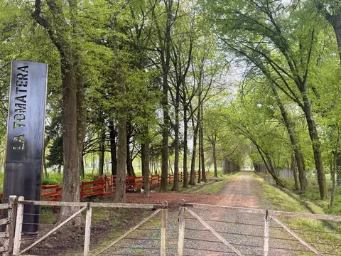 Ruta 8  km 75- El Remanso 100