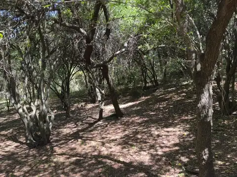 Terreno en Venta en Villa Los Altos, USD 23.000