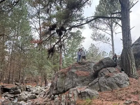 CAMPO A LA VENTA SANTA ROSA DE CALAMUCHITA