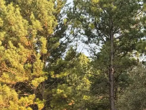 Campo en Venta en Nahuascat, Santa Rosa de Calamuchita
