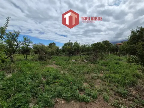 Terreno en Venta en Barranca Arriba, USD 35.000