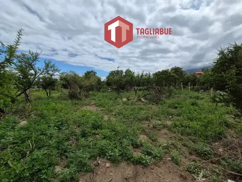 Terreno en Venta de 350,0 m2