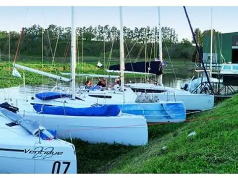 Azahares del Paraná