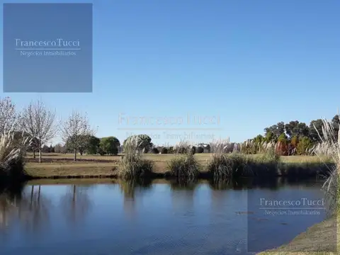 Terreno en Venta de 2000,0 m2