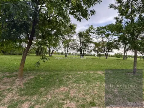 Terreno en Venta de 2000,0 m2