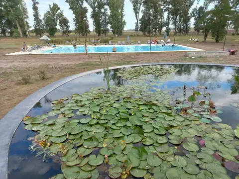 * LOTE EN BARRIO PRIVADO LOS PINOS * SALIDA A LAGUNA * SE ACEPTA  FINANCIACIÓN Y PROPUESTAS *