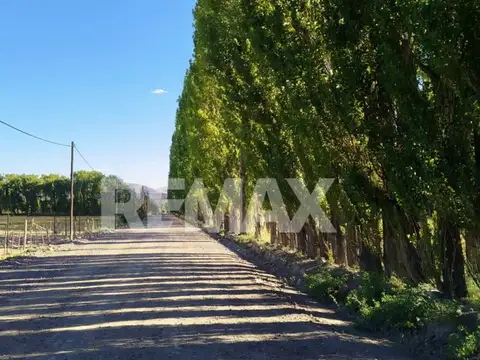Terreno en Venta de 11023,0 m2