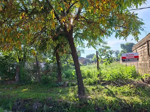 Las Margaritas 600