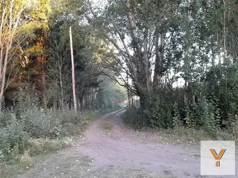 Terreno en Venta -  - 336.15mts - Aguas Verdes