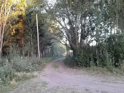 Terreno en Venta -  - 336.15mts - Aguas Verdes