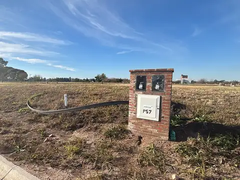 Doctor Manuel Argerich 1200