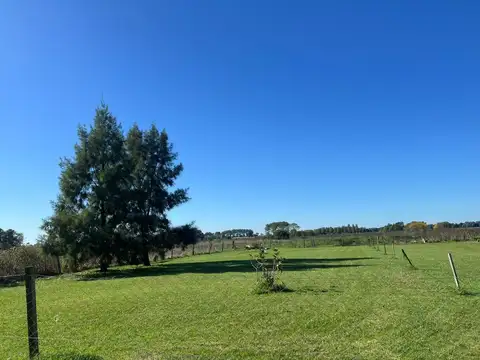 Terreno en Venta de 1000,0 m2