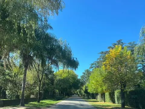 Beruti e/ San Martin y Matheu 900