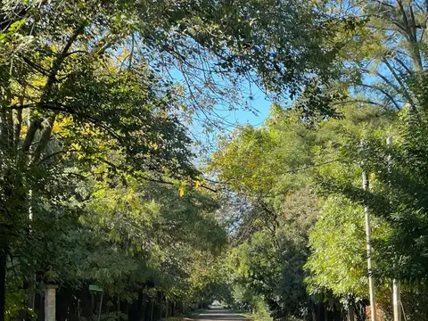 Terreno en Venta en Cañuelas, USD 32.000