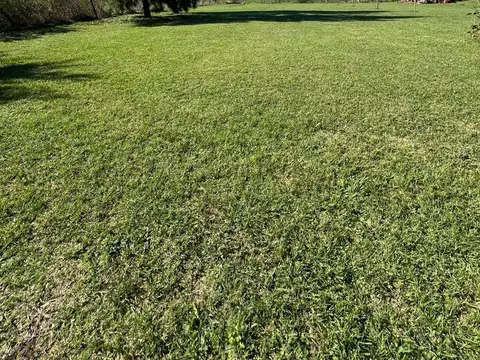 Beruti e/ San Martin y Matheu 900