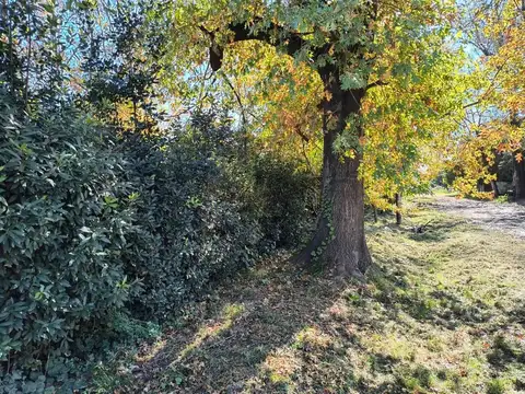 Venta terreno 10 x 30 Moreno cerca Ruta 7