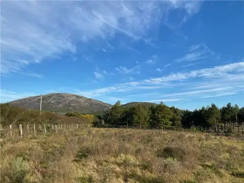Campo en Venta Chacra
