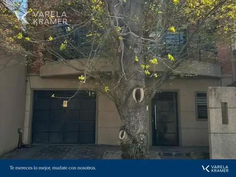 Nicolás Avellaneda  al 300