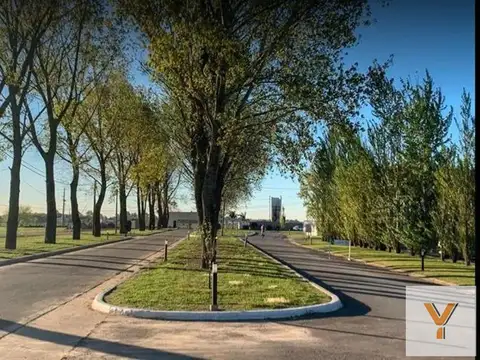 La Alameda