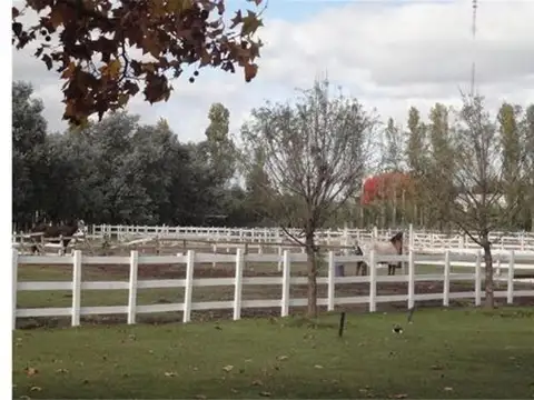 Ruta 25 Km 7.5- Pilar 100