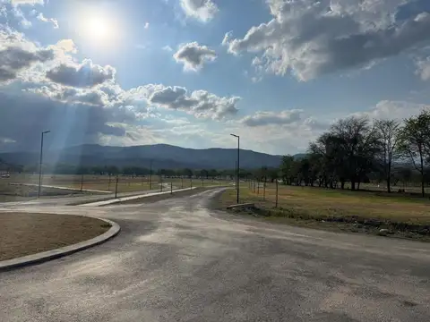 La Arbolada