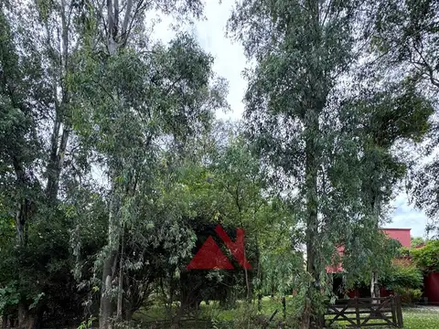 Los Potrillos,pilar, Bs.as. G.b.a. Zona Norte 100