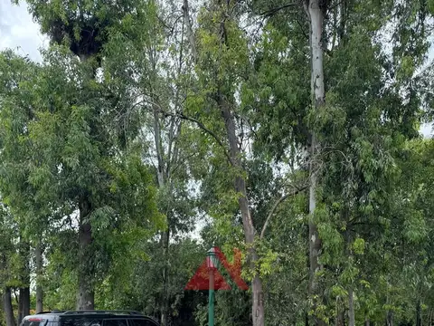 Terreno en Venta en Los Potrillos, USD 68.000