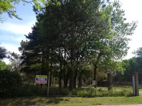 Terreno arbolado en Ibarlucea en venta