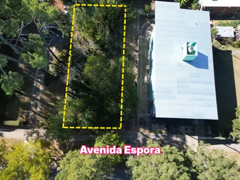 Espora entre Andes y Giachino