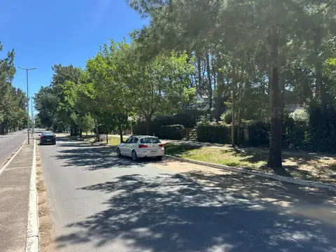 Cod 114 – Lote Espora Multifamiliar