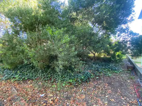 Terreno en Venta 15  mts Frente