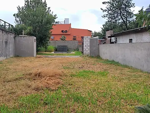 Calvo al 1800