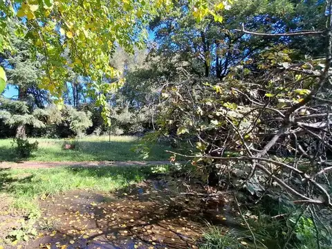 Salvador Maria del Carril esquina Edison