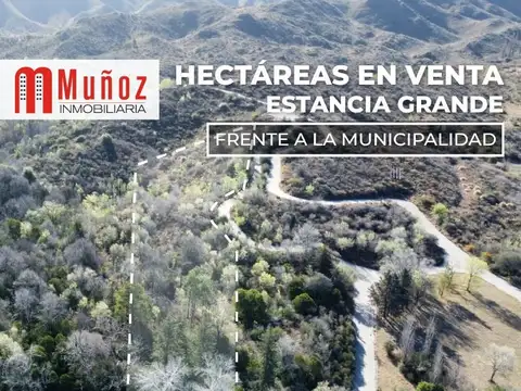 Terreno - Venta - Argentina, ESTANCIA GRANDE