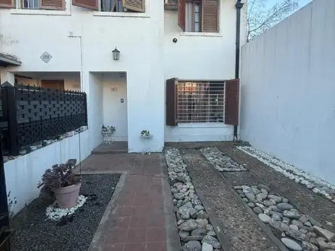 Teodoro Fels 800