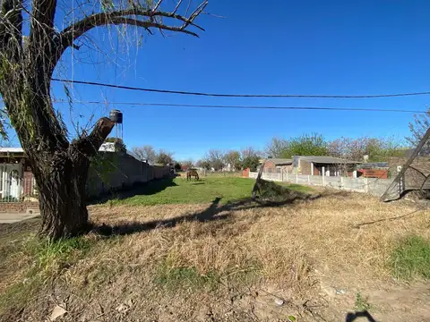 Carlos Hunzinger al 500