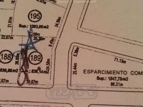 La Cesarina 100