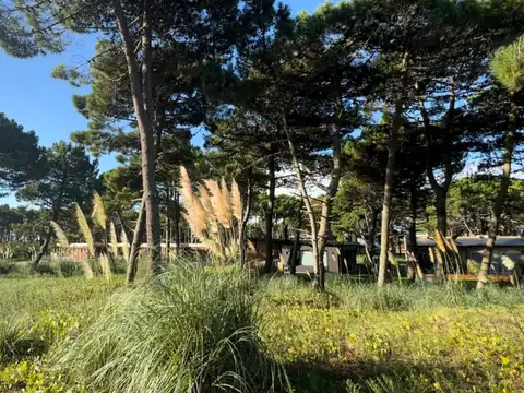 Cod 489  – Pioneros 265 LOTE 11