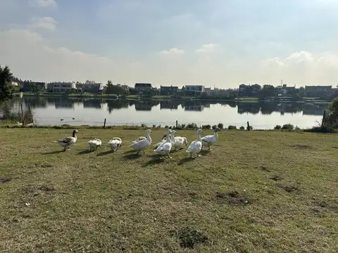 Lote al agua en Barrio San Francisco