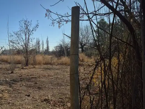 Terreno en Venta de 2000,0 m2