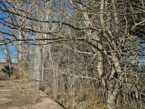 Terreno en Venta de 2000,0 m2