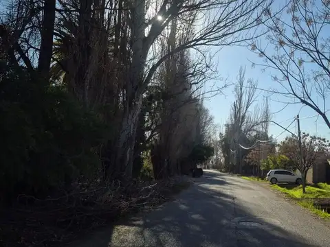 Oportunidad Lote Bermejo Calle Avelino Maure