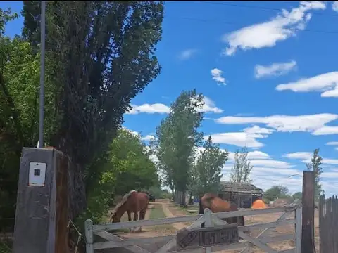 VENTA FINCA CON PISCINA LA DORMIDA STA. ROSA MZA