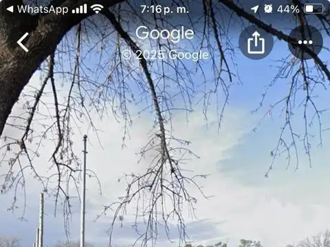 arroyo cuarenta, gene