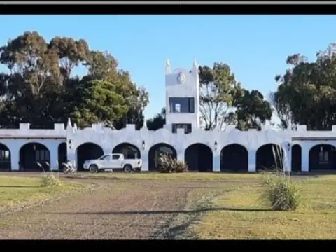 Campo - Bahia San Blas